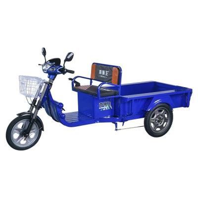 China Adult cargo motorcycle tricycle/high brightness 650w 800w three wheel replacement electric tricycle ride for transport cargo for sale