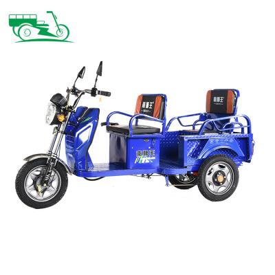 China Open Body Bike 650w 800w Pedicab Adult Recreational Electric Tricycles 3 Wheel Cheap Double Ride Replacement Tricycle for sale