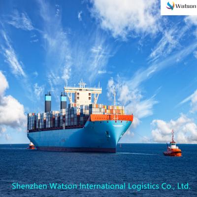 China Guangzhou Shenzhen Ningbo Shanghai Sea To Europe DDP / DAP Watson-000024 Door To Door Minimum Freight Service for sale