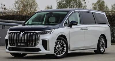 China 100km/H VOYAH Dreamer MPV EV Car 2022 7 Seats 4 Seats Mengxiangjia for sale