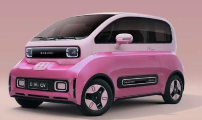 China 2023 Mini Carro Elétrico Long Range 100% Novo Veículo Elétrico Baojun Kiwi à venda