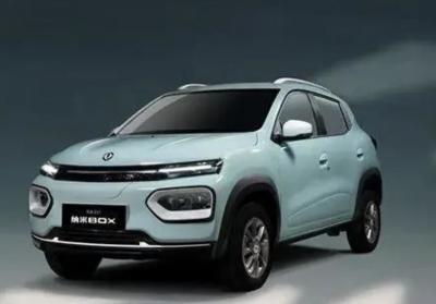 China Dongfeng Nanobox Elektroauto zu verkaufen