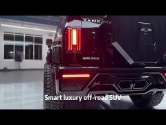 SUV Great Wall Tank 300 Car Gasoline Vehicles 2.0t Wey Tank 300 SUV