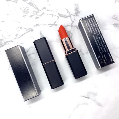 China 16 colors waterproof no logo private label custom matte waterproof lipstick accept dropshipping for sale