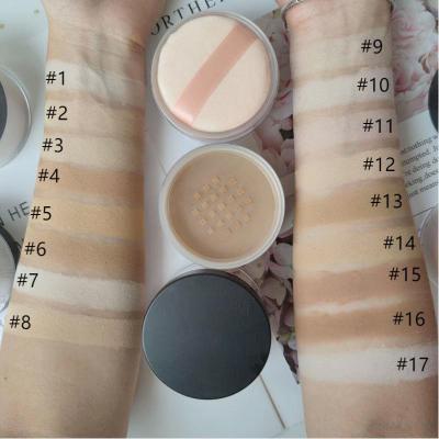 China 17 Colors Hot Sale High Quality Makeup Concealer Powder Long Lasting Setting Translucent Waterproof Loose Face Powder for sale