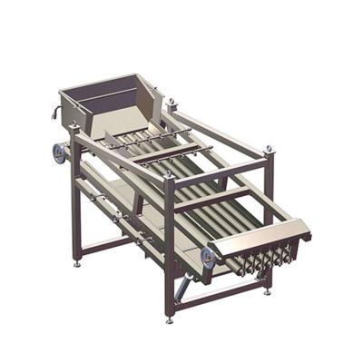 China Seafood Processing Fish Grading Machine for sale