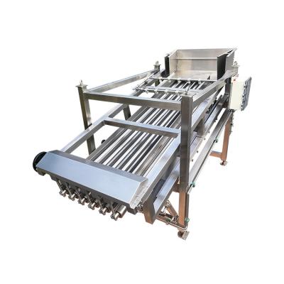 China Seafood Processing Fish Grading Machine for sale