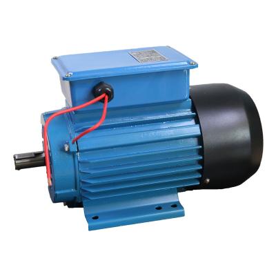 China Pure cleaver low noise high quality lightweight AC motor for sale