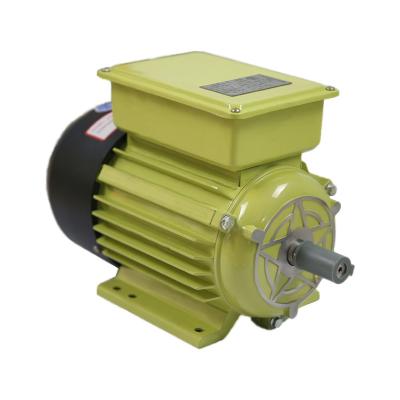 China Pure Chopper Factory Selling High Efficiency AC Electric Motor for sale