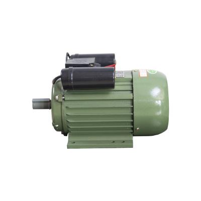 China Pure Chopper Sale Ac Small Electric Machinery Equipment Parts Pure Chopper Motors Guaranteed Quality for sale