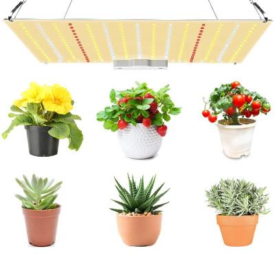 China Samsung lm281B+ Indoor Growers Choice Spectrum Hydroponics System 600 Watt Full Led Homemade Grow Lights For Indoor Plant for sale