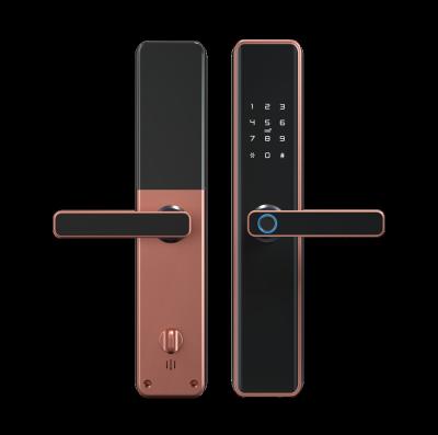 China Electronic Door Lock Tuya Door Lock Rim Lock Card Fingerprint Lock Intelligent Waterproof Electric Cylinder Stainless Steel Battery Key M1 for sale