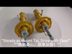 Auto Shock Absorber