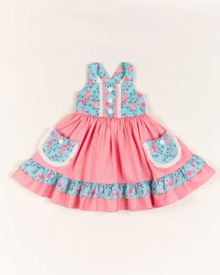 China 2022 Washable New Style Spring Pink And Blue Floral With Flora Ruffle Pocket Baby Dress for sale