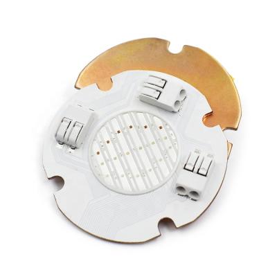 China Outdoor Lighting Flip Chip Led Module DC24V 12V RGBW 20w 30w COB Customs Lead Chip for sale