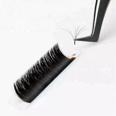 China Wholesale One Second Flower Eyelash Extension Camellia Wick Natural Soft Colash With Private Label for sale