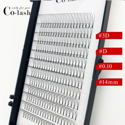 China Medium Strip Best Quality 5D Private Label Flat Pre Made Volume Fans Eyelash Extension for sale