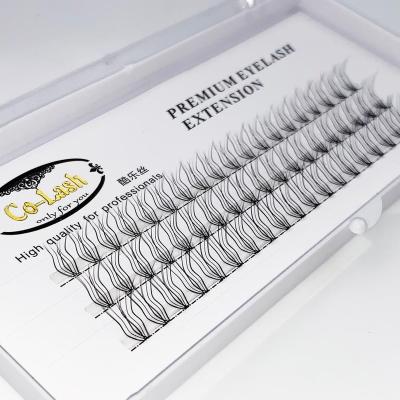 China Fans pre made new product 2019 special shape 10D heatbonded premade fans whips volume eyelash extensions trays for sale