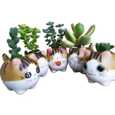 China Mini Cat Ceramic Flower Pot Small CLASSIC Cartoon Cute Office Planter Gift Decor Balcony Garden Plants Bonsai Cactus Succulent Pot for sale