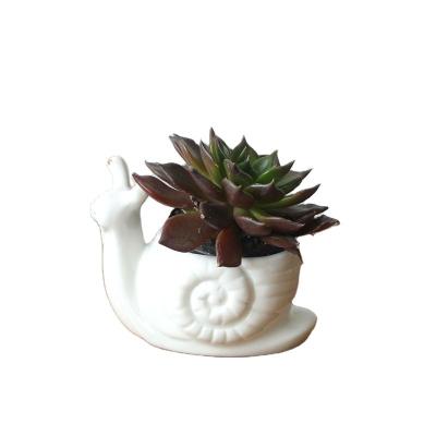 China Mini Turtle Snail Plant Cattle Ceramic Potted Flower Pots Modern Creative Animal Succulent Small Tabletop White Planter for sale