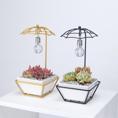 China Modern Creative Decor Iron Lamp Umbrella Flowerpot Set Ceramic Succulent Desk Ornament Plant Green Potted Pots Small Porcelain Planter for sale