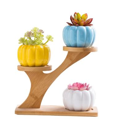 China 12 Color DIY Halloween Pumpkin Flower Pot Modern Mini Pumpkin Cactus Succulent Ceramic Planter Pots With Drainage for sale