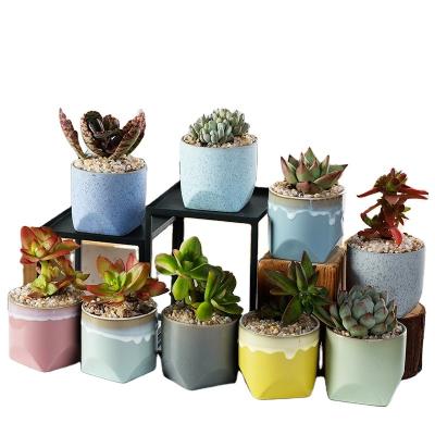 China Vintage Flower Pot Plant Desktop Decorative Small Ceramic Succulent Pots With Holes Sink Luster Porcelain Planters For Garden for sale