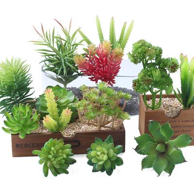 China Plastic Succulent Flower Green Plastic Succulent Flower Tree Layout Plant Garden Decoration Large Simulation Plant Garden Decoration Potted Decking for sale