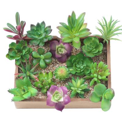 China Wholesale Artificial Succulent Landscape Decor Home Garden Grass Flower Simulation Garden Decoration Plants Plastic Outdoor PVC Platform Supplies for sale