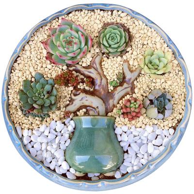 China Modern Hot Selling Tree Branches Ornaments Ceramic Decorative Tree Trunks Landscape Flower POTS Porcelain Succulent Gardening Bonsai for sale