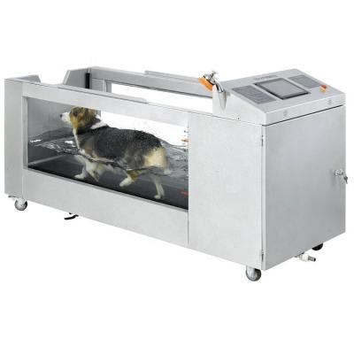 China Sustainable Dogs Electric Treadmill Price Underwater Treadmill For Pets for sale