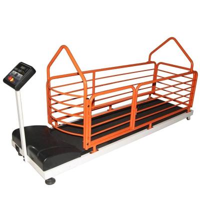 China Dog Treadmill Pet Product Walking Machine Sustainable Running Machine for sale