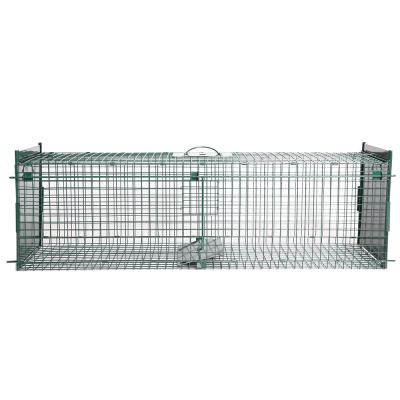 China Live Animal Trap Foldable Cage Viable Humanitarian Trap for sale