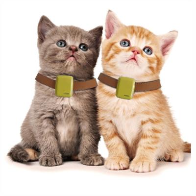 China Pets Tracking GPS Tracker / Mini Personal Gps Tracker / Gps Tracker For Pets for sale