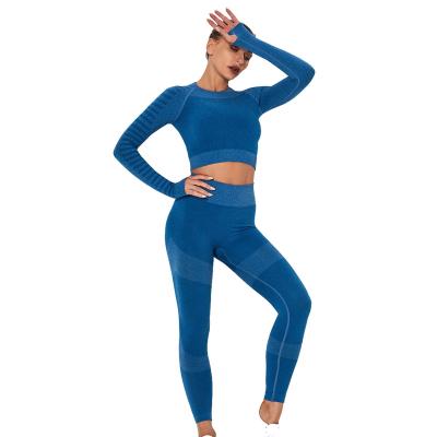 China Breathable Hot Selling Yoga Women Clothing Set Ladies Seamless Boutique Breathable Long Sleeve Gym Equipment for sale