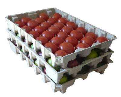 China Factory Hot Selling Pulp Molding Machine Semi-automatic Egg Carton Egg Tray Machine Price for sale