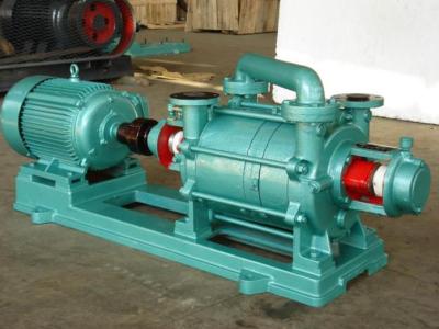 China Agua Ring Vacuum Pump Automotive Liquid Ring Vacuum Pump 22kw del ODM en venta