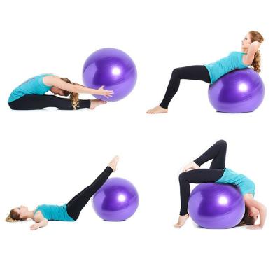 China Indoor Sporting Goods 100% Custom Colored Eco-friendly Logo PVC Balance Yoga Balls Oem Exercise Gym Stability Lifeng For Indoor Exercise for sale