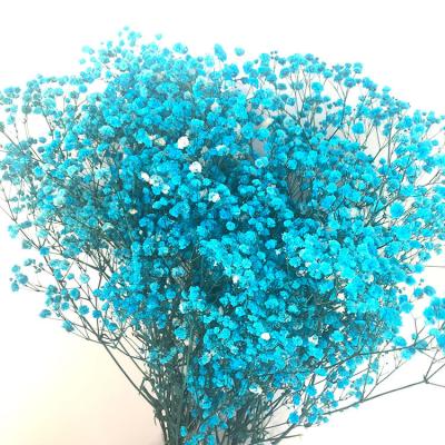 China Home Decor Dried Flowers Baby's Breath Bouquet Natural Gypsophila For Table Vase Home Wedding Decor for sale