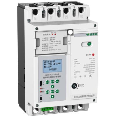 China WE0241EZL-250CY Intelligent Residual Current Circuit Breaker Perfect Electronic Three Stage Protection for sale