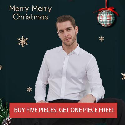 China No Iron Spring Sleeve Shirt New Slim Casual Business Professional Men's Anti-Shrink Long Shirt White Men for sale