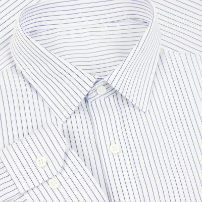 China Anti-pilling Men's Cotton Free Striped Ironing Long Sleeve Business Casual Formal Shirt for sale