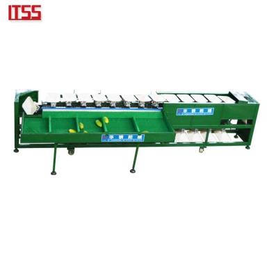 China High Efficiency Manual Dragon Fruit Sorter Mango Weight Loading Sorter for sale