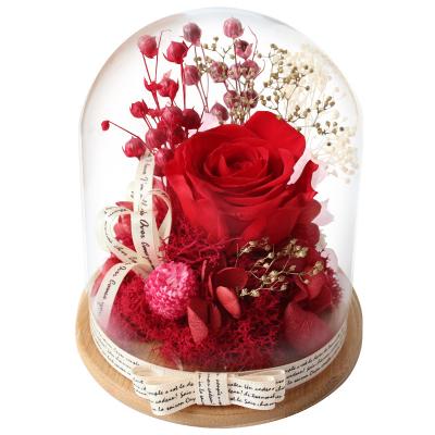 China Natural / Eco-Friendly Immortal Rose Eternal Flower Preserved Flower Glass Dome Birthday Gift For Christmas Valentine Gifts for sale