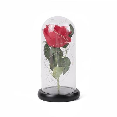 China Touch / 2022 Eco-friendly New Design Natural Hot Selling Twine Led Light Preserved Flowers In Glass Dome for sale