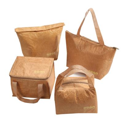 China Custom Cooler Eco-Friendly Wholesale Waterproof Carry Bag Disposable Logo Paper Brown Handle Tyvek Printing Packaging for sale