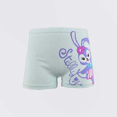 China Factory Direct Selling Girls Underwear Kids Cotton Underwear Breathable Infantil de calcinha for sale