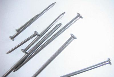 China Hardware iron nails for sale