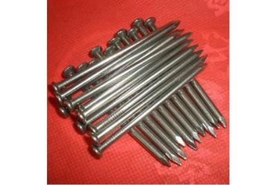 China Common Round Nails(manufacture) for sale