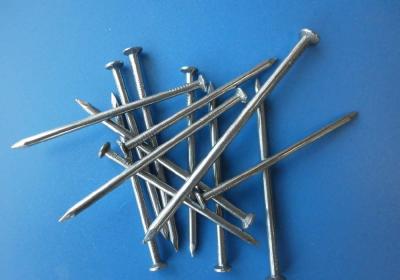 China Common iron nails with good polish factory for sale